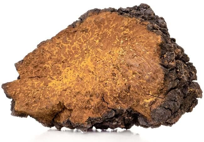Chaga Mushroom
